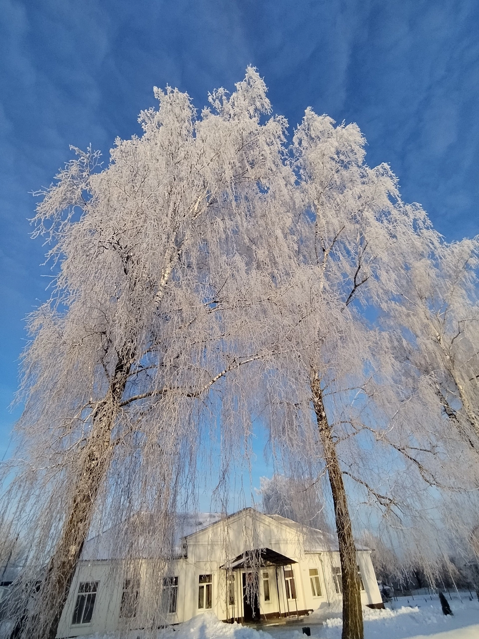 Фотография школы.